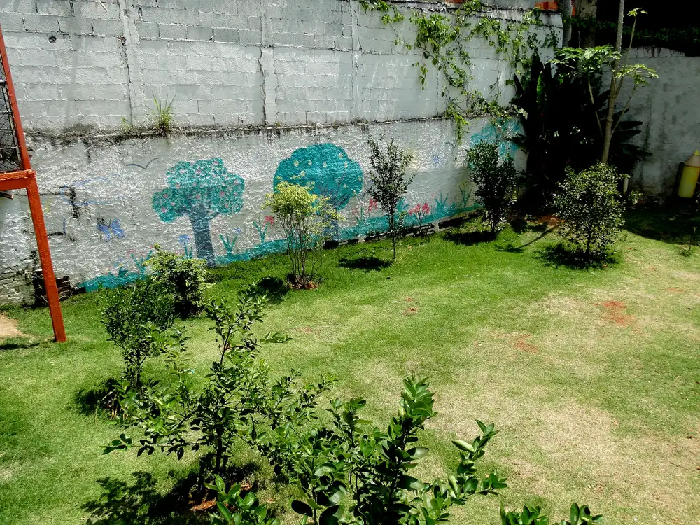 Área verde com gramado, plantas e muro pintado com árvores